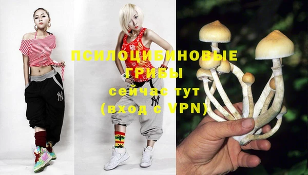 МДПВ Волоколамск