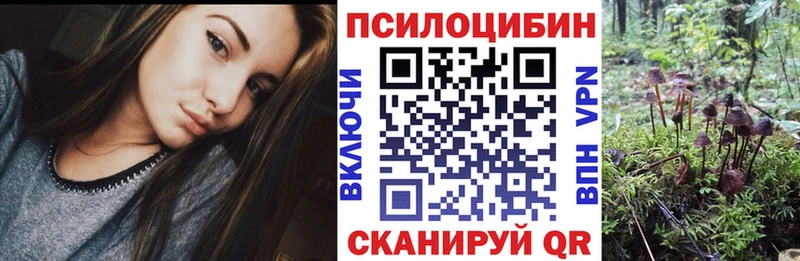 Галлюциногенные грибы прущие грибы  где можно купить   мега онион  Отрадное 